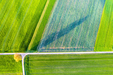 Germany, Baden-Wurttemberg, Drone view of green fields in Swabian Alb - STSF03620