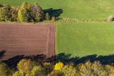 Germany, Baden-Wurttemberg, Aerial view of autumn fields - WDF07115