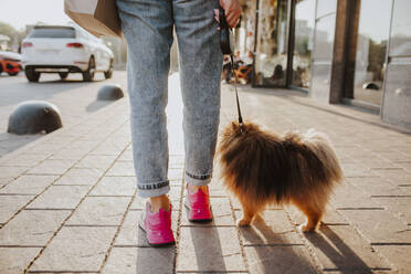 Frau mit Hund, die bei Sonnenuntergang auf dem Gehweg spazieren geht - MDOF00192