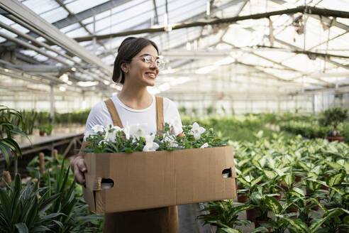 Happy young gardener with box of flowers working in greenhouse - RCPF01476