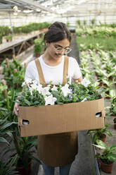 Lächelnder Gärtner mit Kiste voller blühender Pflanzen im Gewächshaus stehend - RCPF01477