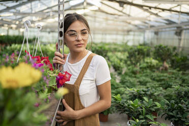 Gardener standing by rack in plant nursery - RCPF01487