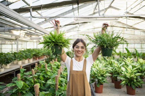 Happy gardener holding potted plants in nursery - RCPF01489