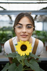 Smiling gardener with sunflower standing in plant nursery - RCPF01493