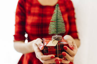 Frau hält Geschenk mit Weihnachtsbaum - EGHF00631