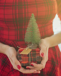 Frau in rotem Kleid hält Geschenk mit Weihnachtsbaum - EGHF00635