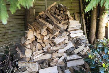 Ein Haufen Brennholz liegt im Hinterhof - TEBF00059