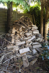Ein Haufen Brennholz liegt im Hinterhof - TEBF00060