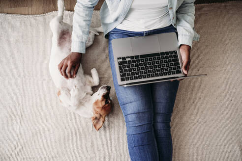 Businesswoman with laptop sitting on rug by dog at home - EBBF06998