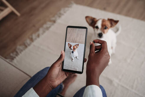 Frau fotografiert Hund zu Hause mit dem Smartphone - EBBF07000