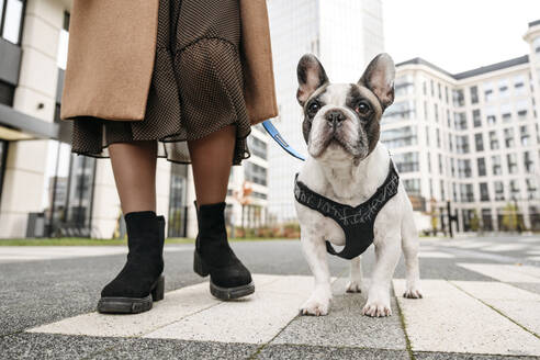 Frau mit französischer Bulldogge auf der Straße stehend - EYAF02351