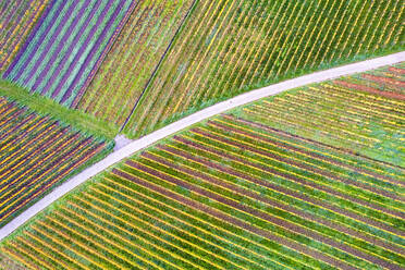 Deutschland, Baden-Württemberg, Drohnenansicht der herbstlichen Weinberge im Remstal - STSF03641