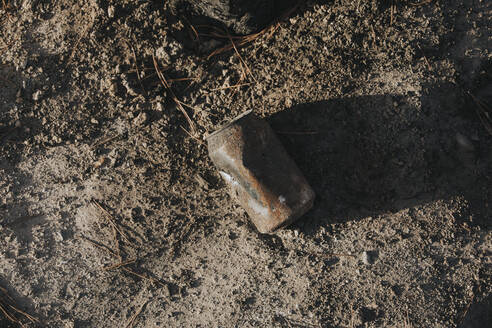 Verbranntes Blech auf dem Boden im Wald - DMGF00892