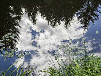 Wolken spiegeln sich im klaren Teich - HUSF00318