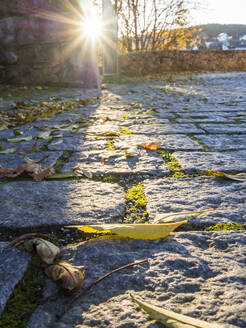 Die untergehende Sonne beleuchtet die auf dem gepflasterten Fußweg liegenden Blätter - HUSF00322