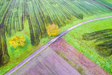 Germany, Baden-Wurttemberg, Drone view of autumn fields in Swabian-Franconian Forest - STSF03656