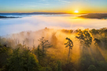 Deutschland, Baden-Württemberg, Drohnenansicht des in dichten Herbstnebel gehüllten Wieslauftals bei Sonnenaufgang - STSF03666