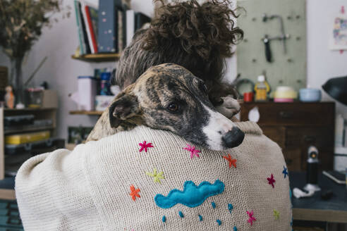 Hund ruht sich zu Hause auf der Schulter seiner Besitzerin aus - MASF33061