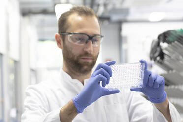 Scientist examining multiwell plate in laboratory - SGF02934