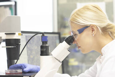 Scientist examining medical sample through microscope in laboratory - SGF02938