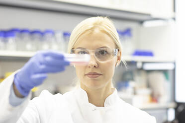 Scientist wearing protective eyeglasses examining medical sample at laboratory - SGF02939