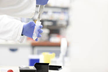 Hände eines Wissenschaftlers, der ein Plastikröhrchen mit einer medizinischen Probe im Labor füllt - SGF02944