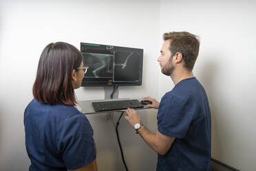 Veterinarians examining x-ray image on computer at clinic - DAMF01124