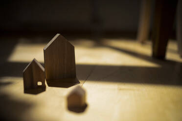 Holzhausmodelle auf dem Boden zu Hause - RIBF01293