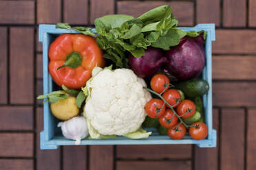 Organic fresh vegetables in blue crate on table - ONAF00258
