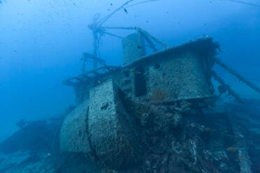 France, Corse du Sud, diver and salema fish bank, underwater view