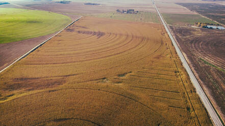 Spain, Aragon, Huesca, Aerial view of dry corn fields - ACPF01541