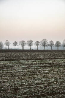 Deutschland, Niedersachsen, Ländliches Feld in der Winterdämmerung - EVGF04147