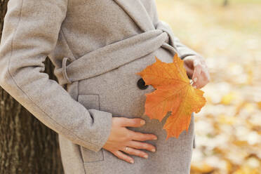 Schwangere Frau hält Ahornblatt im Herbstpark - ONAF00268