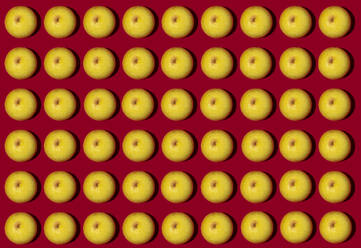 Pattern of halved lemons flat laid against red background - GIOF15647