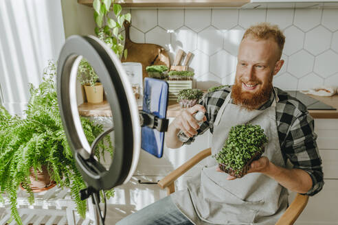 Smiling man spraying water on microgreens sitting in front of smart phone - YTF00331
