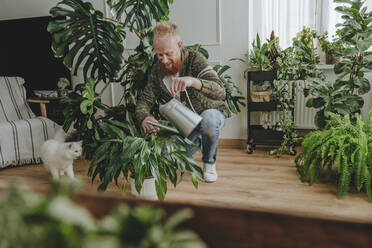 Smiling man watering plants by cat at home - YTF00342