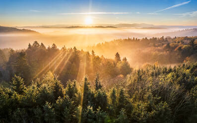 Deutschland, Baden-Württemberg, Drohnenansicht des Haselbachtals bei nebligem Herbstsonnenaufgang - STSF03674