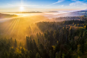 Deutschland, Baden-Württemberg, Drohnenansicht des Haselbachtals bei nebligem Herbstsonnenaufgang - STSF03676