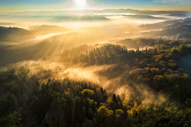 Deutschland, Baden-Württemberg, Drohnenansicht des Haselbachtals bei nebligem Herbstsonnenaufgang - STSF03678