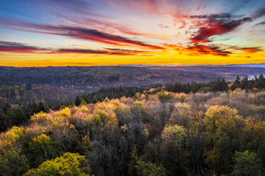 Deutschland, Baden-Württemberg, Drohnenansicht eines Herbstwaldes bei stimmungsvollem Sonnenaufgang - STSF03680