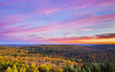 Deutschland, Baden-Württemberg, Drohnenansicht eines Herbstwaldes bei stimmungsvollem Sonnenaufgang - STSF03682