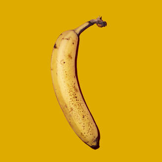 Studio shot of ripe banana - GIOF15650