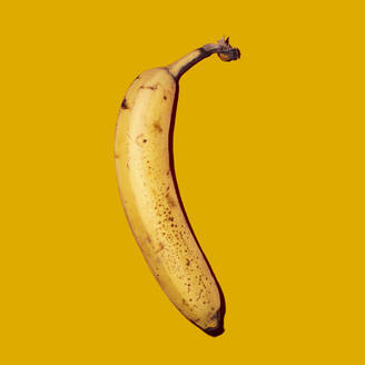 Studioaufnahme einer reifen Banane - GIOF15650