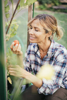 Lächelnde reife Frau hält eine Tomate im Garten - JOSEF14964