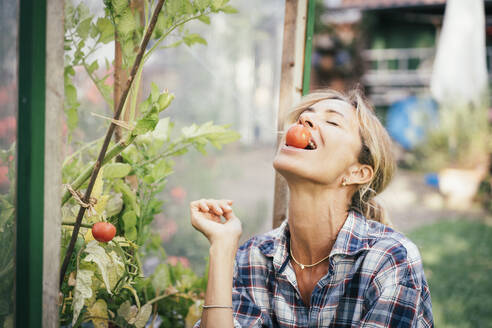 Reife Frau mit Tomate im Mund im Gemüsegarten - JOSEF14967