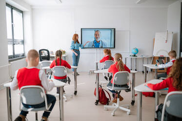 A rear view,class of pupils sitting, listening to teacher and wathing online lecture with doctor in classroom - HPIF00012