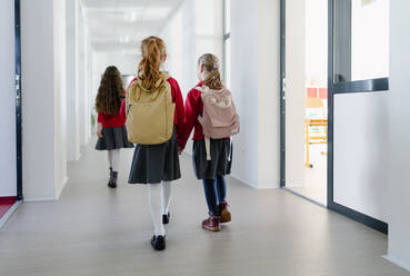 A happy schoolgirl with Down syndrome classmate in uniform walking in scool corridor with classmates, rear view. - HPIF00186