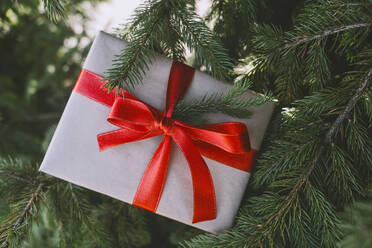 Weihnachtsgeschenk-Box mit rotem Band auf Tanne gebunden - NDEF00231