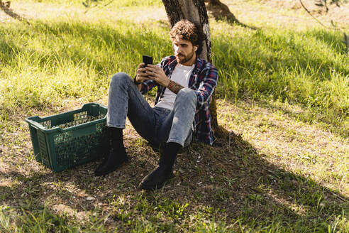 Mann hört Musik über kabellose In-Ear-Kopfhörer und benutzt sein Smartphone, das an einem Baum lehnt - FMOF01554