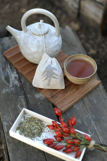 Ceramic teapot, tea cup, rose hips and handmade tea sack - GISF00955